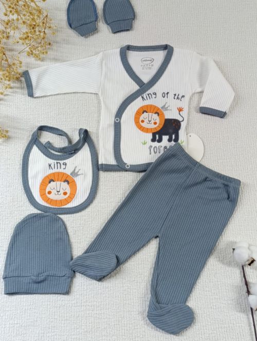 Aslan lemeli 5' li Hastane k Seti